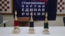Международный день шахмат 20.07.2014